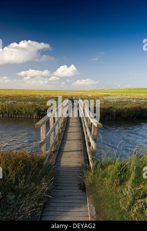 Holzbrücke und Salzwiesen, Westerhever, Eiderstedt, Norden Frisia, Schleswig-Holstein Stockfoto