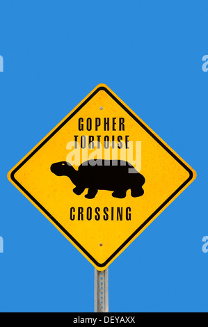 Warnschild, Gopher Schildkröten beim Überqueren der Straße, Sanibel Island, Florida, Vereinigte Staaten von Amerika Stockfoto