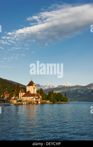 Schloss Oberhofen Burg auf dem Thunersee, Berner Oberland mit den Bergen Moench, Eiger und Jungfrau an der Rückseite, Berner Oberland Stockfoto