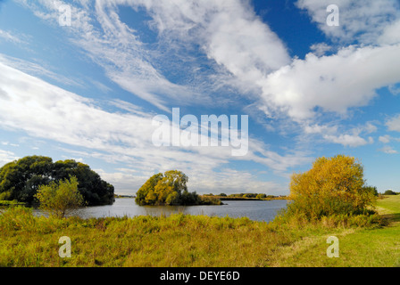 Herbstliche Flusslandschaft der Elbe in Kirchwerder, Vier-Und Marschlande Bezirk, Hamburg Stockfoto