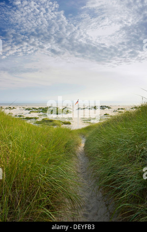 Weg durch die Dünen zum Strand, Nebel, Amrum, Amrum, Nordfriesischen Inseln, Schleswig-Holstein, Deutschland Stockfoto