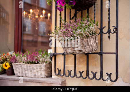 Heide im Weidenkorb auf Fensterbank Stockfoto