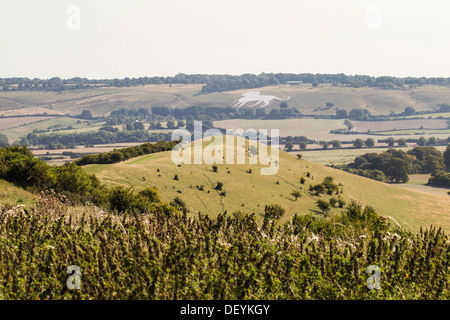 Das Ende von The Ridgeway National Trail bei Ivinghoe Beacon, Blick nach Osten in Richtung der Kreide Lion Whipsnade Zoo in Bedfordshire Stockfoto