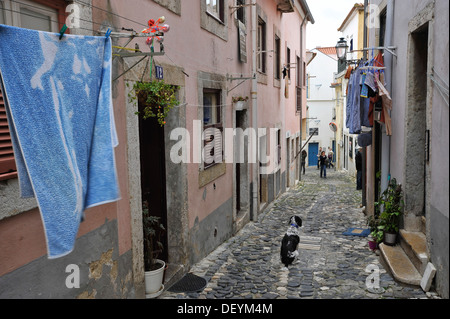 Gasse unterhalb des Castelo de Sao Jorge, Lissabon, Portugal, Europa Stockfoto