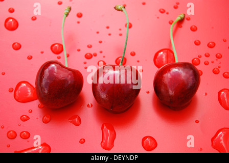 Drei rote reife Kirschen mit Wassertropfen Stockfoto