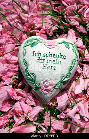 Herz mit den Worten "Ich Schenke Dir Mein Herz" Ich schenke dir mein Herz auf Kirschblüten, japanische Kirsche Stockfoto
