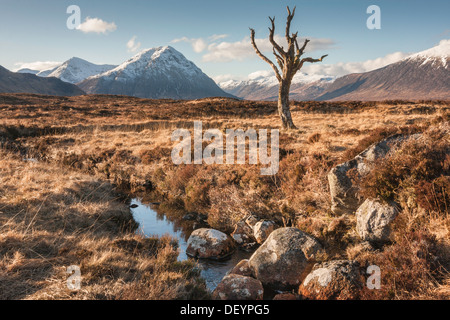 Winter-Szene, Rannoch Moor, Schottland, Vereinigtes Königreich Stockfoto