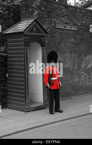 Eine Queens Wachhabende trägt seine üblichen roten Uniform und Bär Pelzmütze hält eine Gewehr außerhalb St. James Palace. Stockfoto