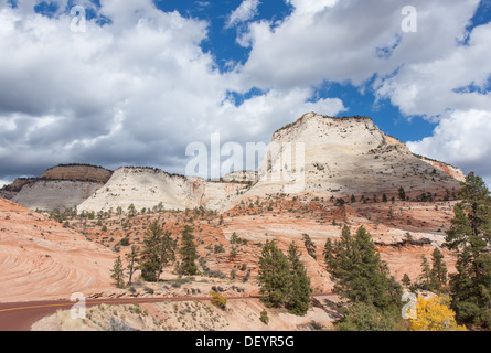 Dieses Bild zeigt die wunderschöne Fahrt auf dem oberen Plateau des Zion National Park. Stockfoto