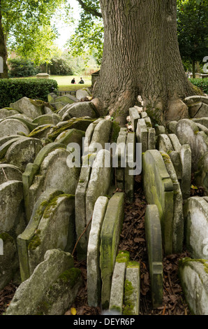 Hardy Baum, alte St Pancras Kirchhof, King Cross, London. Im Porträt. Stockfoto