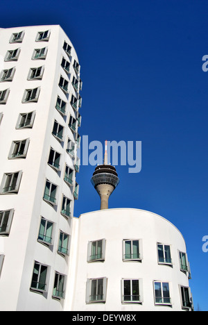 Gehry-Bauten im Medienhafen Medienhafen, hinter dem Rheinturm Radio- und TV-Turm, Düsseldorf Stockfoto