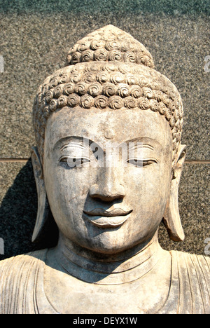 Kopf einer Buddha-Statue Stockfoto