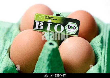 Hühnereier mit Bio-Siegel, symbolisches Bild für falsch etikettierter Bio-Eiern, Deutschland Stockfoto