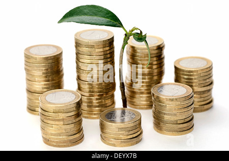 Grüner Trieb wächst dazwischen Münzen, symbolisches Bild für Investitionen, Deutschland Stockfoto