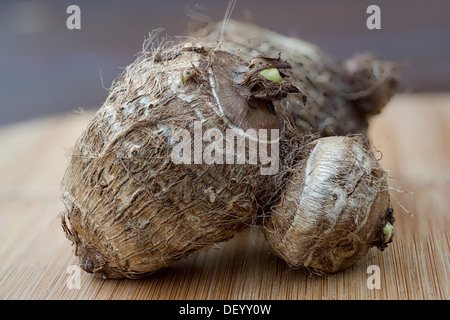 Taro oder eddoe corm (Colocasia esculenta), Wurzelgemüse, tropischen Kartoffel ersetzen Stockfoto