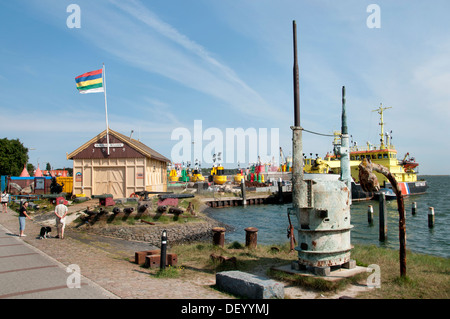 Bojen Terschelling Hafen Wattenmeer Wad Boje Hafen Port-Niederlande Stockfoto