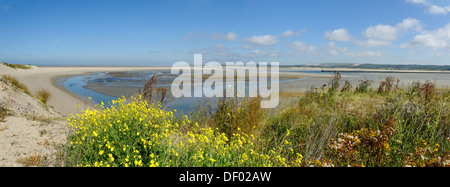 Le Touquet Paris Plage, Sanddünen an der Mündung des Flusses Canche auf dem Ärmelkanal, Opale, Pas-de-Calais, Frankreich Stockfoto