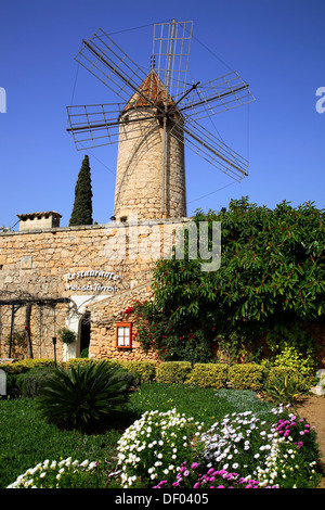 Moli des Torrent, Restaurant in der Nähe von Santa Maria, Mallorca, Balearen, Spanien Stockfoto