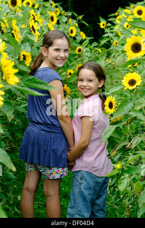 Mädchen in einem Sonnenblumenfeld Stockfoto