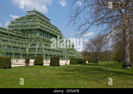 Palm House, Stahl und Glas Bau, Schloss Schönbrunn Palast Gärten, Schönbrunn, Wien, Austria, Europe Stockfoto