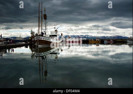 Whale-watching Boot im Hafen von Húsavík, Norðurland, Nordurland Eystra, Nordost-Island, Island, Europa Stockfoto