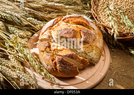 Frisch geschnitten Brot und Ähren Stockfoto