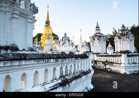 Goldene Pagode oder Chedi, Wat Suan Dok, Chiang Mai, Nord Thailand, Thailand, Asien Stockfoto
