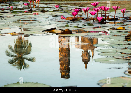 Reflexion einer Buddha-Statue in einem Teich mit roten Seerosen (Nymphaea Rubra), Wat Mahathat Tempel, Sukhothai Historical Park Stockfoto