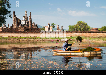 Mann in einem Boot arbeiten im Teich vor der sitzende Buddha-Statue im Tempel Wat Mahathat, Sukhothai Historical Park Stockfoto