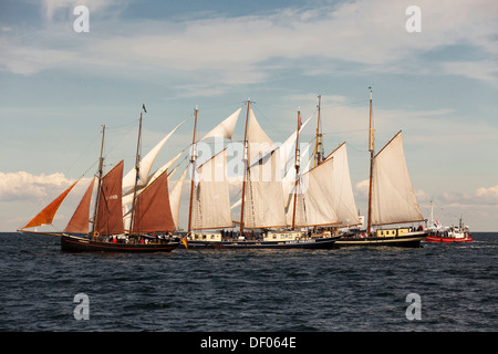 Segelschiffe, Panorama, Hanse Sail 2012 Festival, Rostock, Mecklenburg-Vorpommern Stockfoto