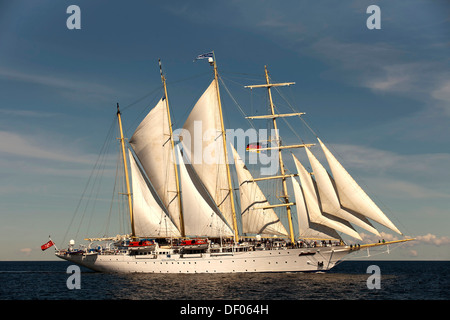 Vier-Mast-Segelschiff Star Flyer, Hanse Sail 2012 Festival, Rostock, Mecklenburg-Vorpommern Stockfoto