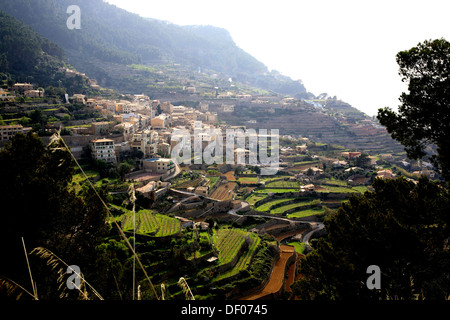 Terrasses in Banyalbufa, R Mallorca, Balearen, Spanien Stockfoto