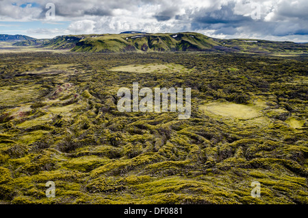 Luftbild, moosbewachsenen Lavafeldes, Krater des Laki oder Lakagígar, isländische Hochland, Southern Island, Suðurland, Island Stockfoto