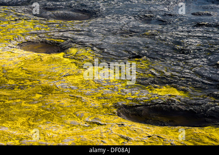 Luftaufnahme, moosbedeckten Krater von Laki oder Lakagígar, isländische Hochland, Southern Island, Suðurland, Island, Europa Stockfoto