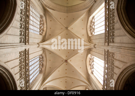 Decke von der Onze-Lieve-Vrouwekathedraal (Kathedrale unserer lieben Frau) in Antwerpen, Belgien Stockfoto