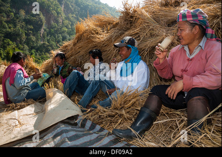 Menschen aus den Shan oder Thai Yai ethnische Minderheit trinken Tee aus einem Bambus-Becher, Arbeitspause, Heuhaufen, Soppong oder Pang Mapha Stockfoto