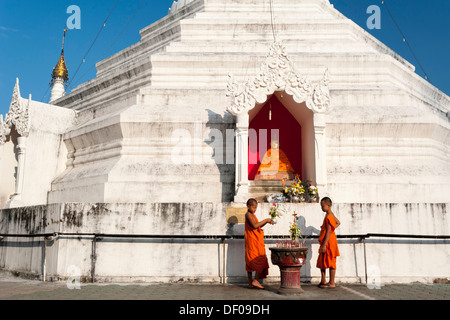 Junge buddhistische Mönche Angebote vor einer Pagode oder Chedi, Tempelanlage Wat Phra, dass Doi Kong Mu, Mae Hong Son Stockfoto