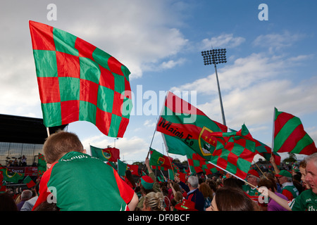 Grafschaft Mayo Gaa-Fans mit Grafschaft Fahnen auf ein Spiel Irland Stockfoto