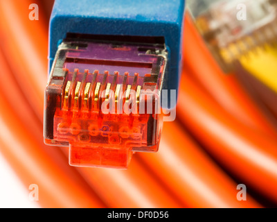 Netzwerkkabel mit RJ45-Stecker Stockfoto