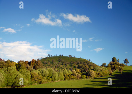 Grüne hügelige Ackerland in der Nähe von Masterton, Wellington im Süden der Nordinsel Neuseelands Stockfoto