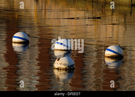 Bojen und die Spiegelungen der ein rotes Backsteingebäude im Aal-Teich in Woods Hole in den frühen Morgenstunden, Massachusetts, USA Stockfoto