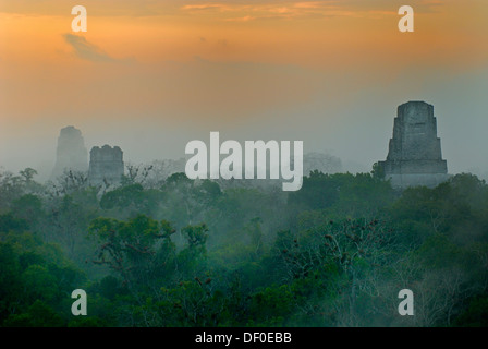 Maya-Tempel von Tikal, Pyramide, Kalender, 2012, Regenwald, Sonnenaufgang, Petén, Guatemala, Mittelamerika Stockfoto