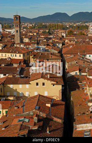 Die Dächer von Lucca aus Torre Guinigi in Toskana, Italien, Europa Stockfoto