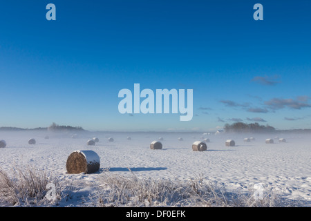 Strohballen Futter im Winter mit Nebel am Horizont Stockfoto