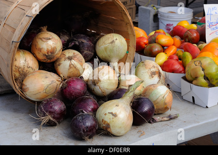 Eine Auswahl von Zwiebeln und Gemüse in Milton Agrar Markt Ontario, Kanada. Stockfoto