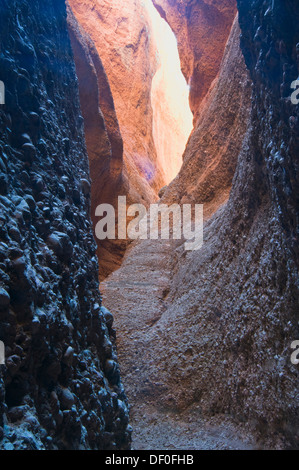 Purnululu National Park, Bungle Bungles, Echidna Chasm, Purnululu Nationalpark, Kimberley-Plateau, Western Australia, Australien Stockfoto
