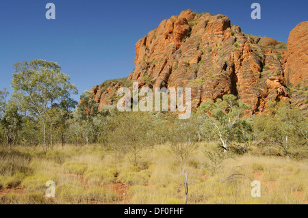 Purnululu National Park, Bungle Bungles, Echidna Chasm, Purnululu Nationalpark, Kimberley-Plateau, Western Australia, Australien Stockfoto