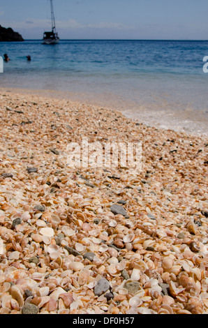 Französische Antillen, Karibik Insel Saint Barthelemy (St. Barts). Hauptstadt Stadt Gustavia, Shell Beach. Stockfoto