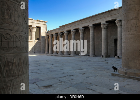 Portikus, Spalten in der Great Court, Hieroglyphen, Horus Tempel, Haupttor, Edfu, Ägypten, Afrika Stockfoto