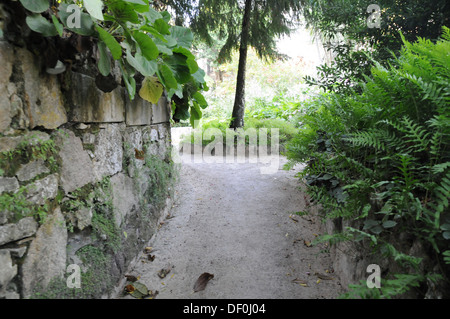 Reise nach Sintra Portugal Amilcar Abreu & Danijela Lukic Stockfoto